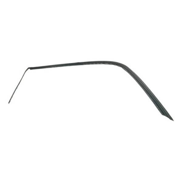 Borracha Pingadeira Direita Do Teto F250 99/11 Cabine Dupla